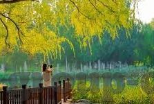 全网乐鱼体育-全网乐鱼体育，开启智能体育新纪元
