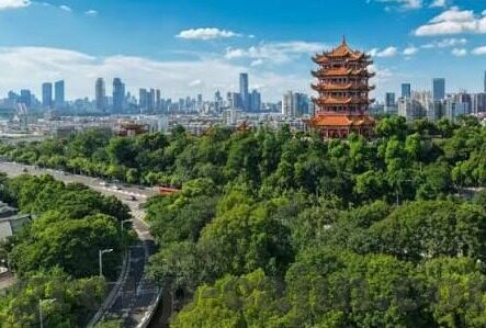 土豪牛牛下载九游-土豪与游戏，九游上的牛牛下载风潮
